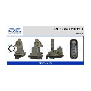 RECOFICIAL RECSVG75013.1