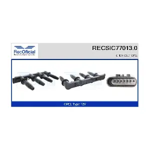 RECOFICIAL RECSIC77013.0