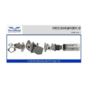 RECSVG81001.0 RECOFICIAL