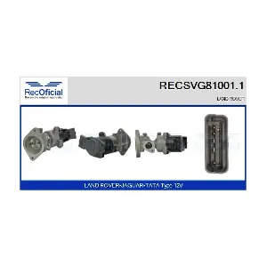 RECSVG81001.1 RECOFICIAL