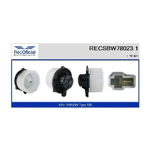 RECSBW78023.1 RECOFICIAL