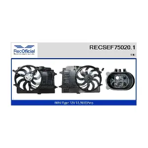 RECSEF75020.1 RECOFICIAL