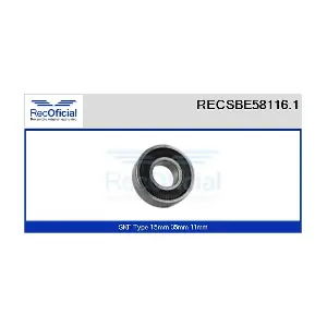 RECOFICIAL RECSBE58116.1