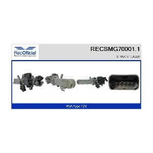 RECSMG70001.1 RECOFICIAL