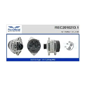 RECOFICIAL REC2010213.1
