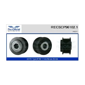 RECSCP96102.1 RECOFICIAL