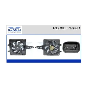 RECSEF74088.1 RECOFICIAL