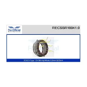 RECSSR10041.0 RECOFICIAL