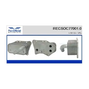 RECSOC77001.0 RECOFICIAL