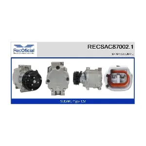 RECSAC87002.1 RECOFICIAL