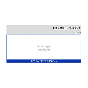 RECSEF74065.1 RECOFICIAL