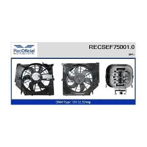 RECOFICIAL RECSEF75001.0