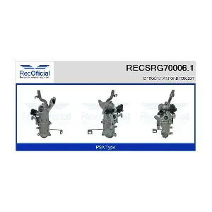 RECSRG70006.1 RECOFICIAL