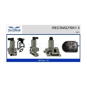 RECSVG77011.1 RECOFICIAL