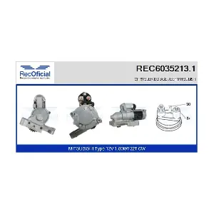 RECOFICIAL REC6035213.1