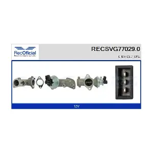 RECSVG77029.0 RECOFICIAL
