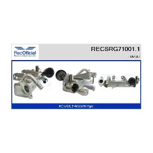 RECSRG71001.1 RECOFICIAL
