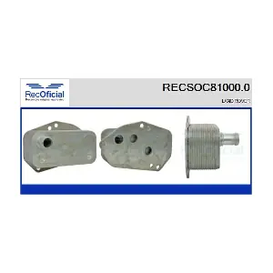 RECSOC81000.0 RECOFICIAL