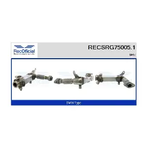 RECSRG75005.1 RECOFICIAL