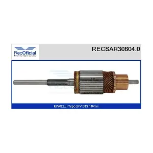 4205474 CASCO