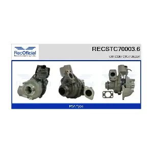 RECSTC70003.6 RECOFICIAL