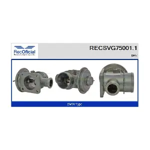 RECOFICIAL RECSVG75001.1