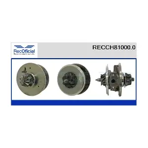 RECCH81000.0 RECOFICIAL