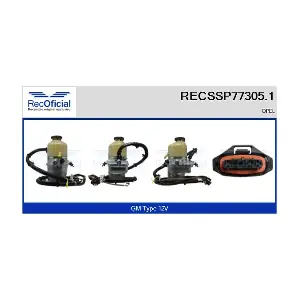 RECSSP77305.1 RECOFICIAL