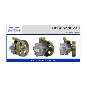 RECSSP70129.0 RECOFICIAL