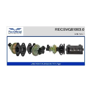 RECSVG81003.0 RECOFICIAL