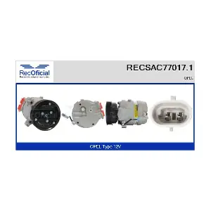 RECOFICIAL RECSAC77017.1