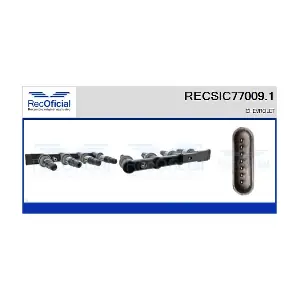 RECOFICIAL RECSIC77009.1