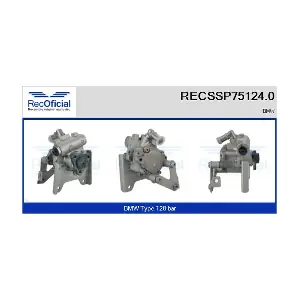 RECSSP75124.0 RECOFICIAL