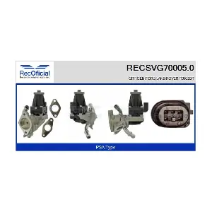 RECOFICIAL RECSVG70005.0