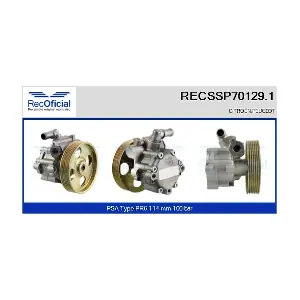 RECSSP70129.1 RECOFICIAL