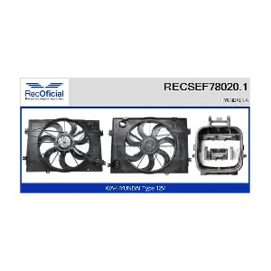 RECSEF78020.1 RECOFICIAL