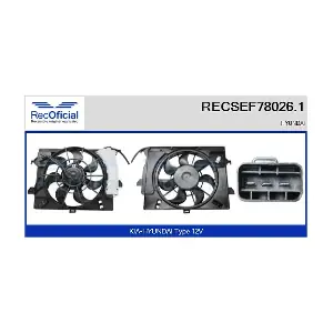 RECSEF78026.1 RECOFICIAL