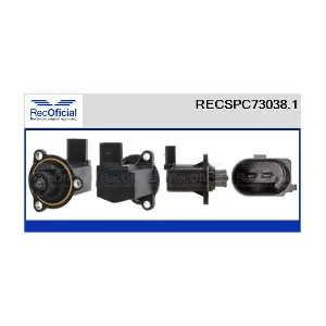 RECOFICIAL RECSPC73038.1