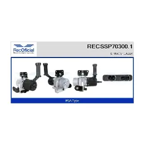 RECOFICIAL RECSSP70300.1