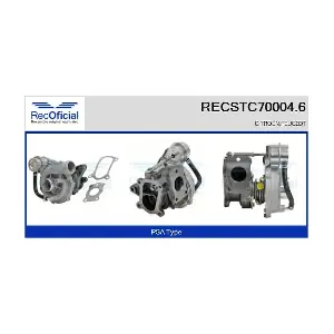 RECSTC70004.6 RECOFICIAL