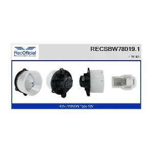 RECSBW78019.1 RECOFICIAL