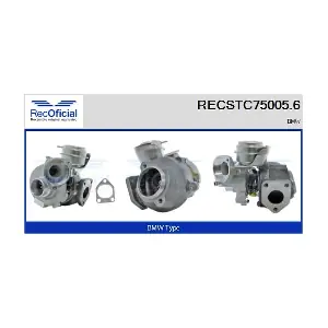 65021 CASCO