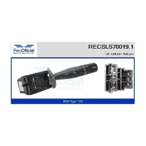 RECSLS70019.1 RECOFICIAL