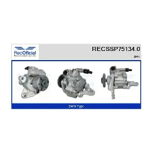 RECSSP75134.0 RECOFICIAL