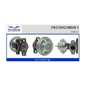 RECSVG78019.1 RECOFICIAL