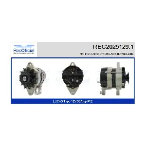 12869 CASCO