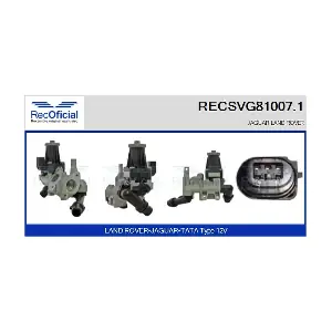 RECSVG81007.1 RECOFICIAL