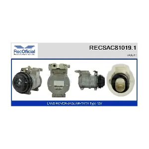 RECSAC81019.1 RECOFICIAL