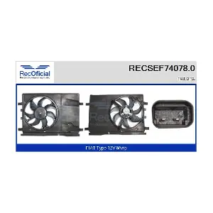 RECSEF74078.0 RECOFICIAL