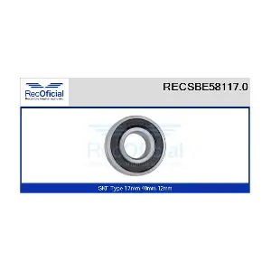 RECOFICIAL RECSBE58117.0